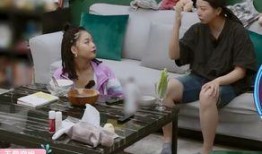 深圳龙岗王姐最新爆料,揭秘背后惊人真相